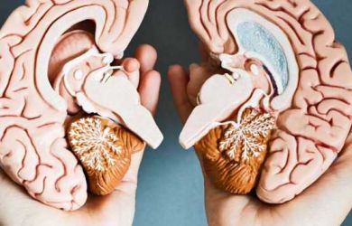 6 Kebiasaan yang dengan Cepat Merusak Kinerja Otak, Ngeri!