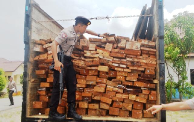 Dishutbun Amankan 12 Kubik Kayu Kulim