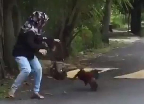 Dikejar Sampai Keluar Rumah, IRT Tewas di Depan Enam Anaknya