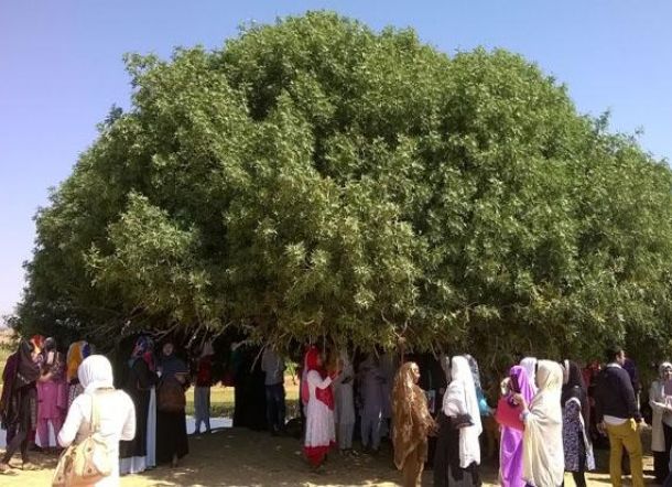 'Sahabat' Nabi yang Masih Hidup Sampai Sekarang