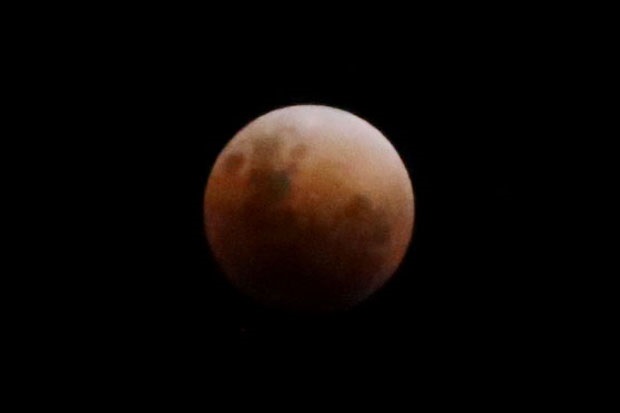 Astaga! Kepala Bayi Ditemukan di Atap, Diduga Tumbal Super Blue Blood Moon