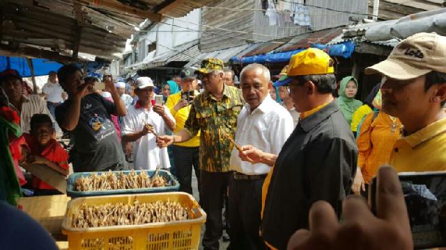 Tinjau Pasar Ikan di Inhil, Gubri Sebut Potensi Perikanan Riau Luar Biasa