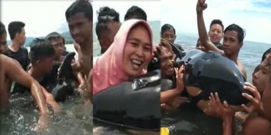 Duh! Dikira Lumba-lumba, Sejumlah Warga Sulawesi Utara Tak Sadar Peluk Paus Pembunuh