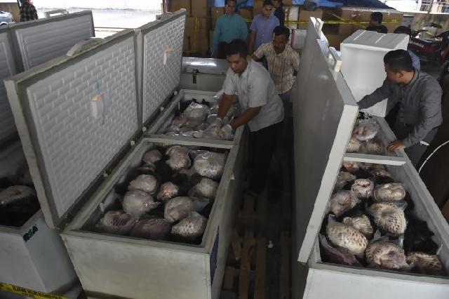 Indonesia kembali ekspor makanan beku ke Australia