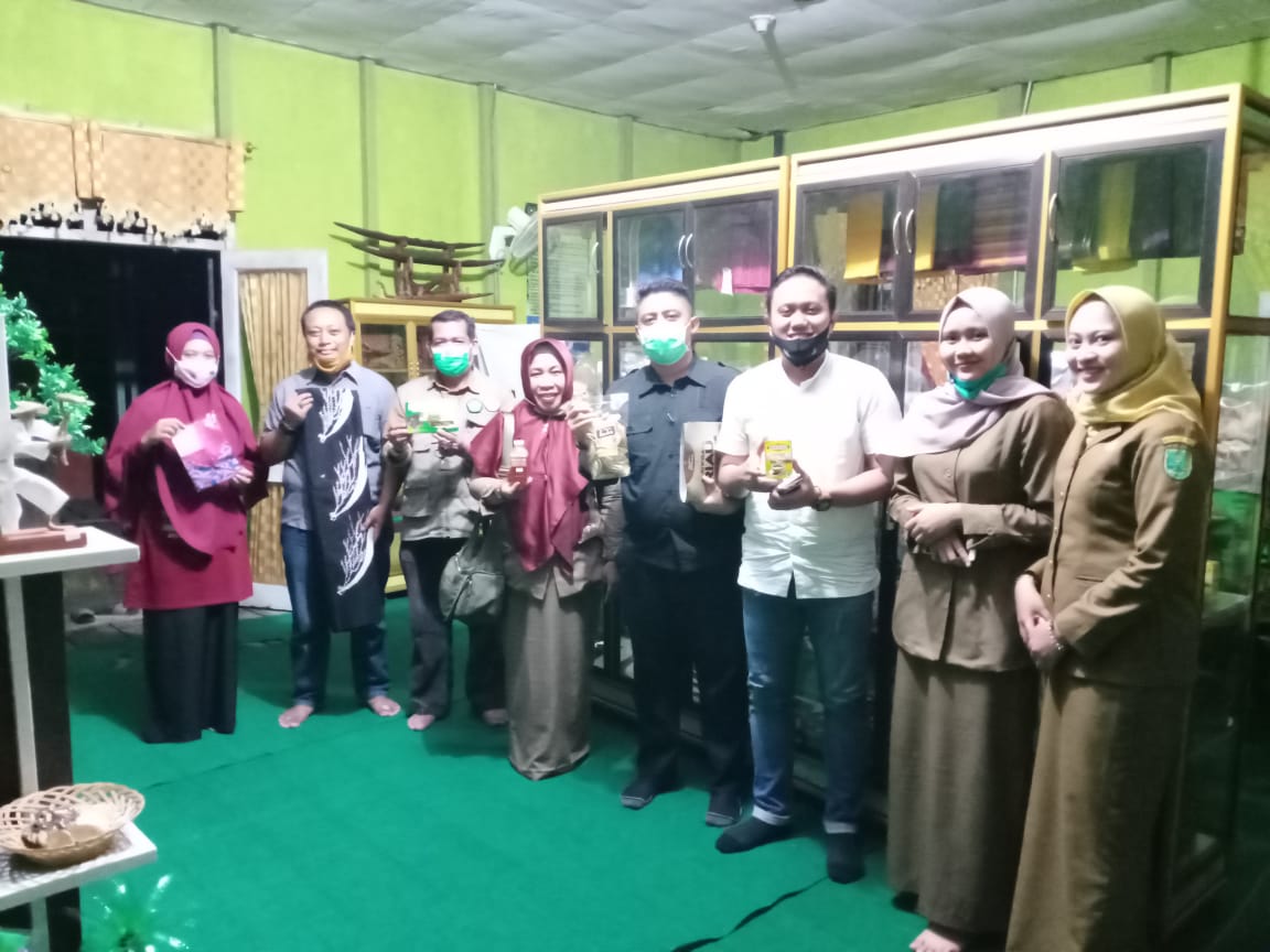 Fisipol UIR Taja Sosialisasi Ekonomi Kreatif di Kampar