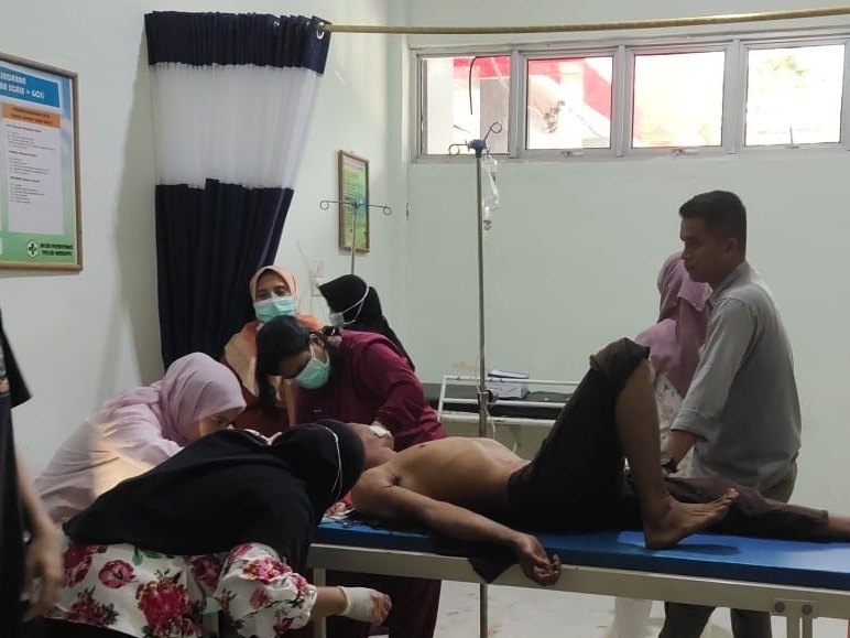 Pekerja Akasia di Pelalawan Diserang Harimau Sumatera, Alami Luka di Kepala dan Lengan