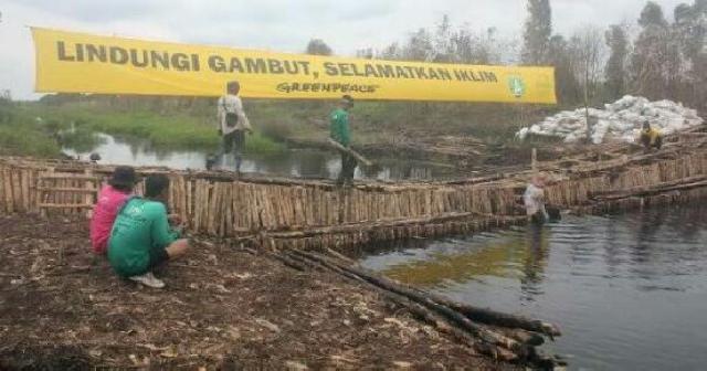 KLHK Diminta Tindak Tegas Perusahaan