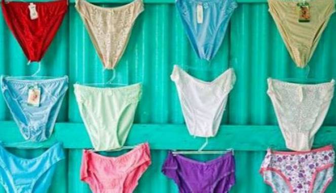 Meresahkan, Monyet Liar Suka Mencuri Celana Dalam Wanita