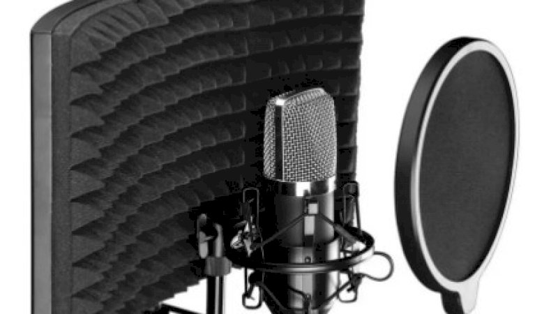 Wanita Ini Kantongi Rp358 Juta Hanya dari Jual Angin Secara Online