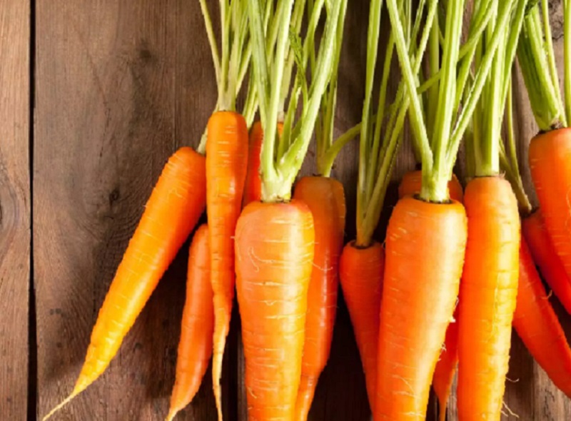 5 Manfaat Wortel Bagi Kesehatan
