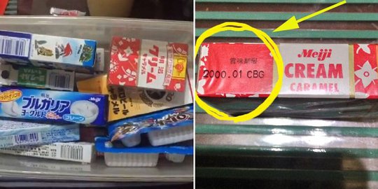 Nenek simpan jajanan selama 17 tahun di kulkas tapi bukan untuk dimakan sendiri, alasannya bikin nan