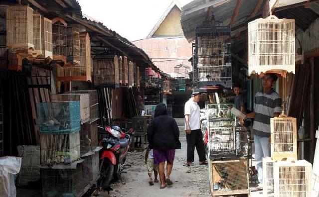 Dewan  Tak Ingin Pasar Palapa Dibangun Pihak Ke-3