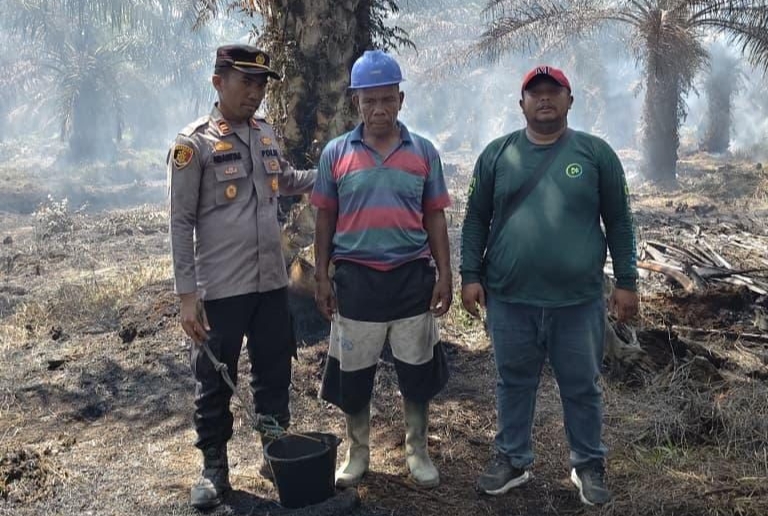 Buang Putung Rokok Sembarangan Picu Karhutla, Pria di Rohil Dijebloskan ke Penjara
