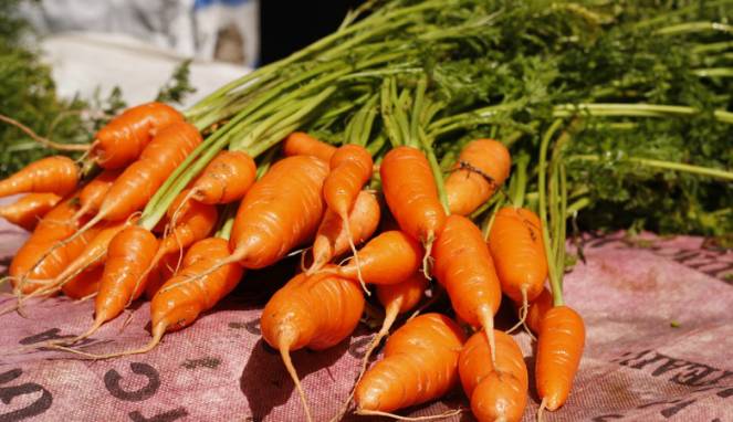 6 Sayuran Ini Justru Makin Menyehatkan Saat Dimasak