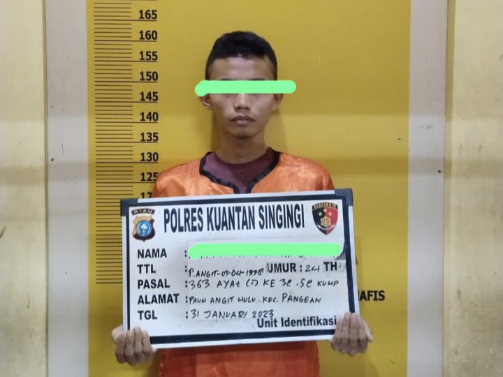 Karyawan Alfamart Diringkus Sat Reskrim Polres Kuansing