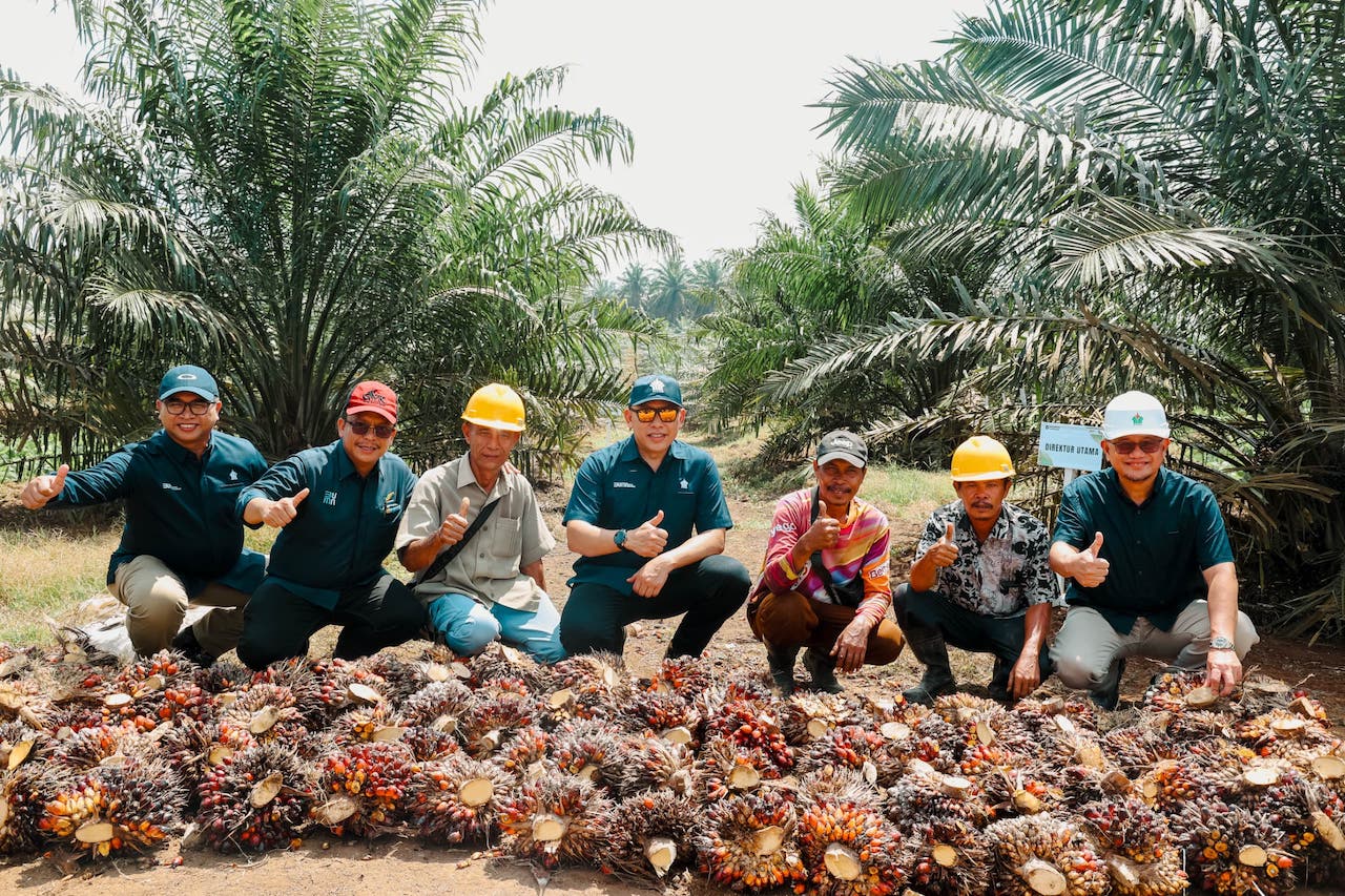 PTPN IV PalmCo Genjot Produktivitas Sawit di Kampar, Targetkan 7 Ton CPO per Hektare