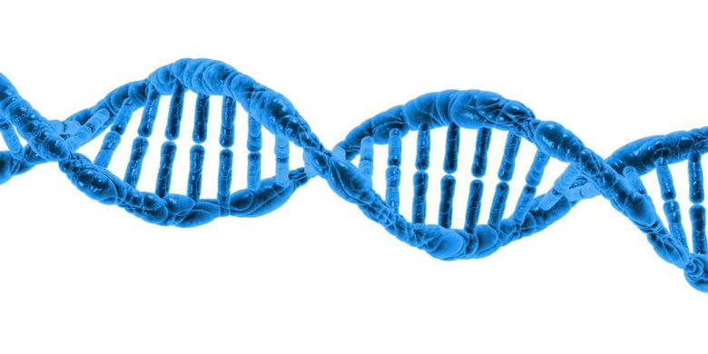 Rasa Empati Manusia Dibentuk, Bukan Diturunkan secara Genetik