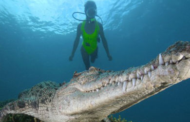 Merinding! Buaya Berenang di Atas Kepala Bidan Nana Nayla