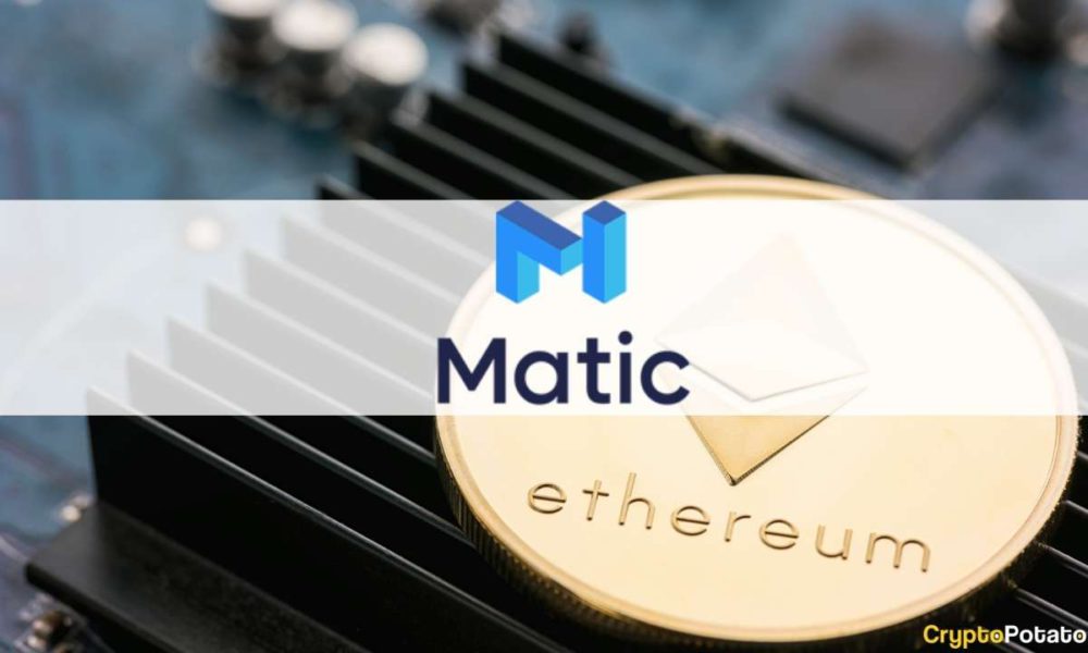 Matic Banyak Diburu Saat Aset Crypto Lainnya Tenggelam