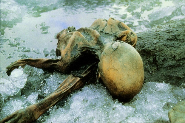 Makanan Mumi Es Berusia 5.300 Tahun Bikin 41 Ilmuwan Bingung