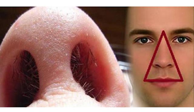 Ini Bahayanya Mencabut Bulu Hidung