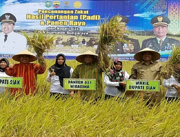 Jenderal Edy Nasution : Jadikan Siak Sebagai Sentra Tanaman Pangan