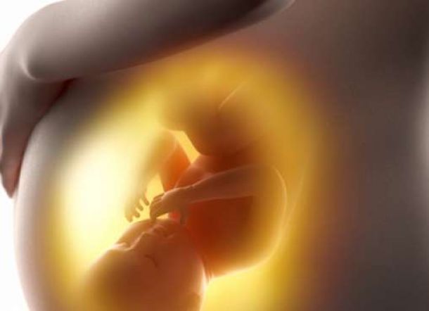 Ternyata Bayi Sudah Bisa Melihat Sejak Dalam Kandungan