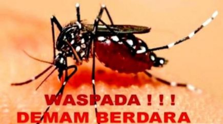 Waspada! Baru Minggu Ketiga Januari, Kasus DBD di Pekanbaru Capai 31 Kasus