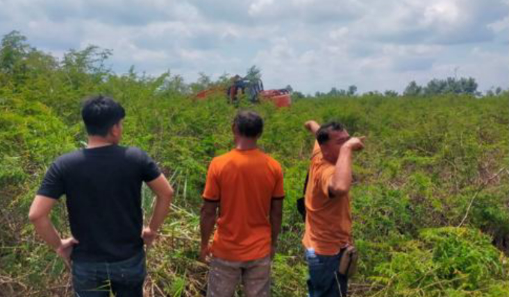 Polisi Amankan Alat Berat Buka Kebun Sawit di Hutan Produksi