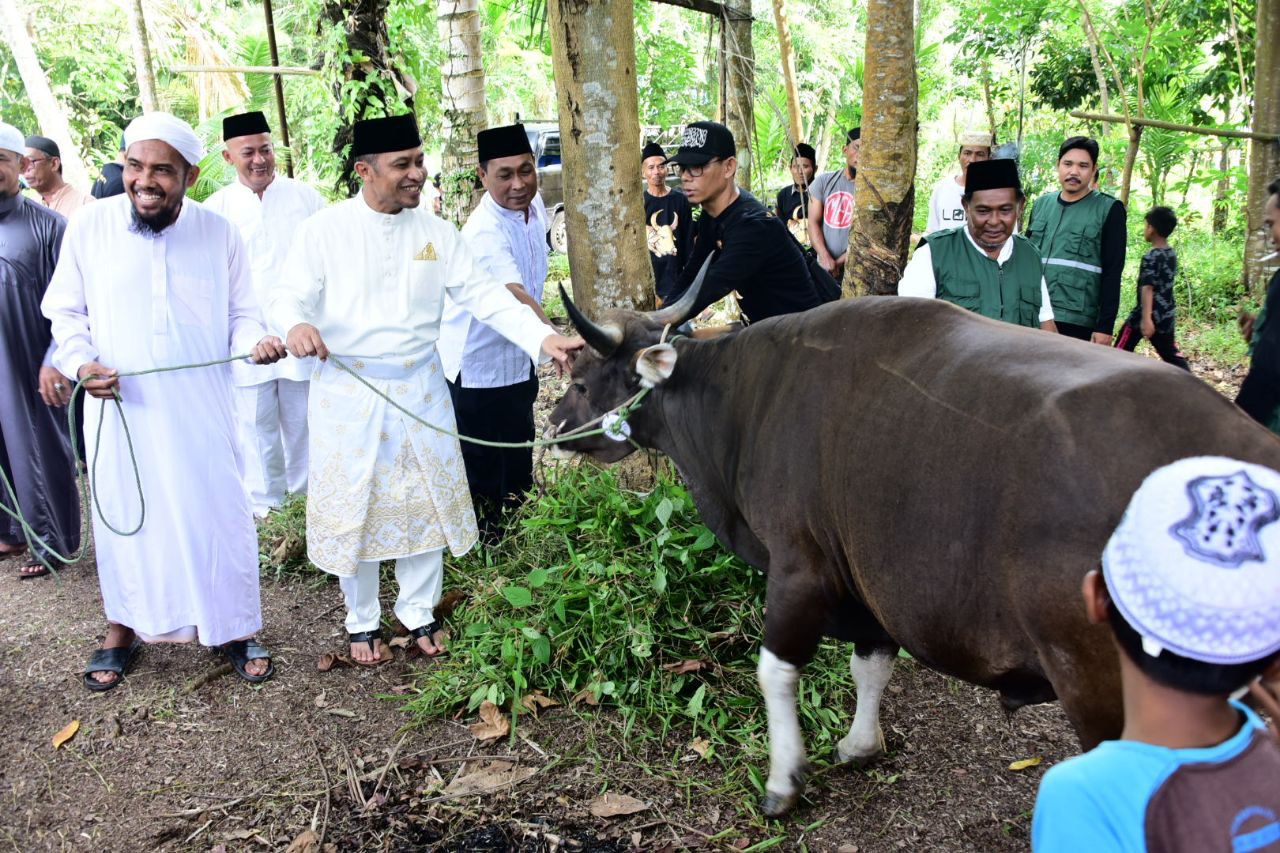 Wabup Bagus Santoso Sekeluarga Kurban Sapi di Masjid Almujahidin Desa Pedekik