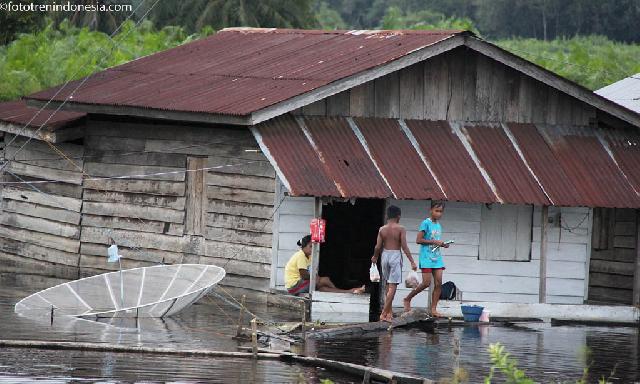 Miris, Generasi Penerus Rohil Terancam Tak Punya Lahan