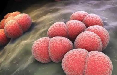 Glenn Fredly dan Olga Syahputra Terenggut Karena Miningitis, Ini Dia Fakta yang Harus Diketahui