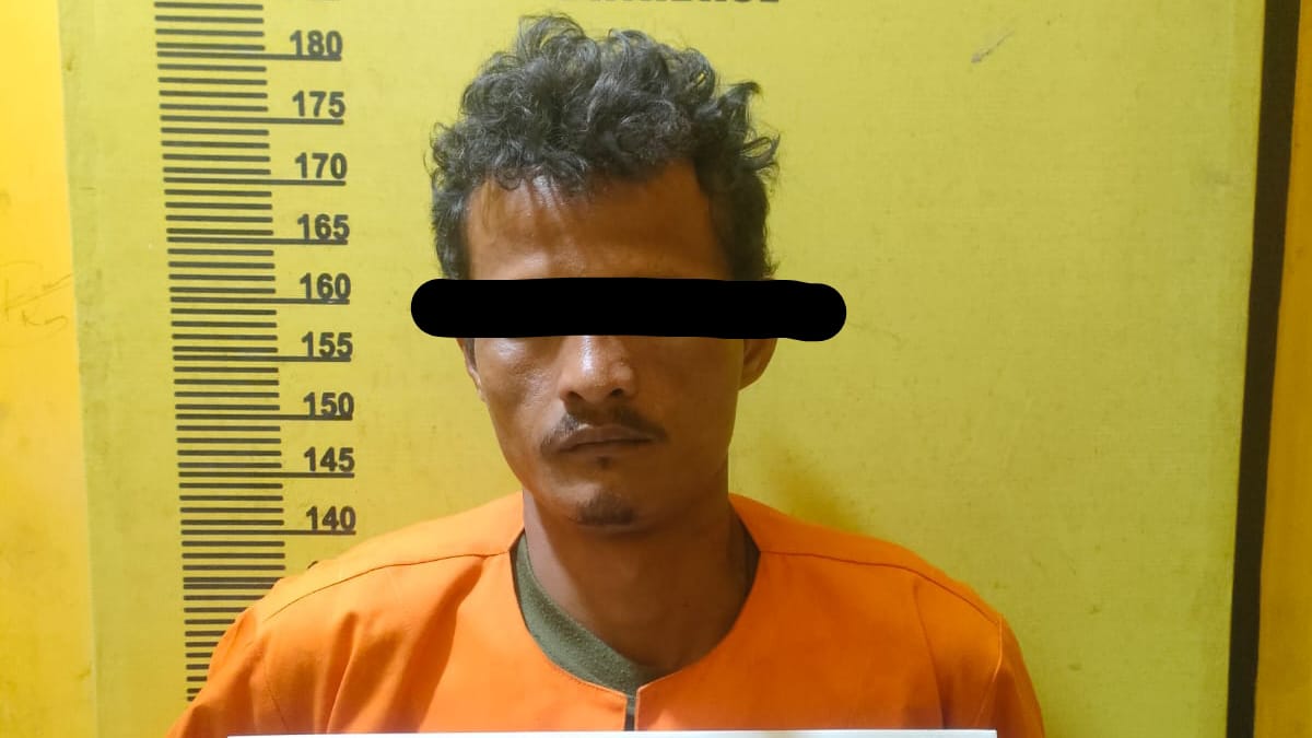 Bejat, Pria di Rohil Nekat Cabuli Cucu Tiri yang Masih Berusia 4 Tahun