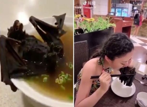 Wanita Cantik yang Makan Sop Kelelawar Minta Maaf