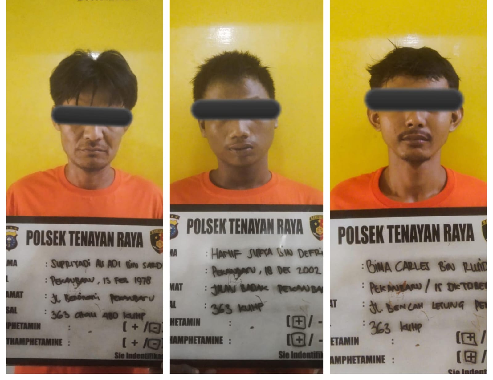 Curi Kambing Demi Beli Chip Judi Online, Tiga Pemuda di Tangkap Polsek Tenayan Raya