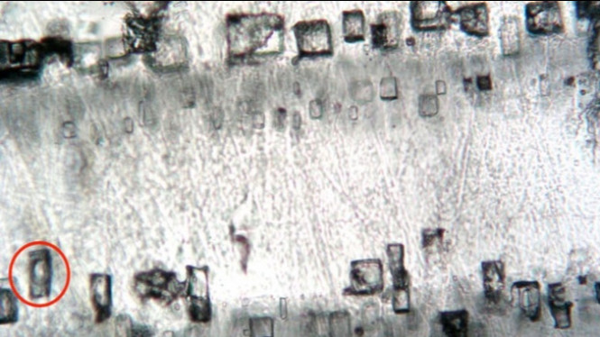 Kapsul Waktu Atmosfer Ini Dapat Mengubah Sejarah Bumi