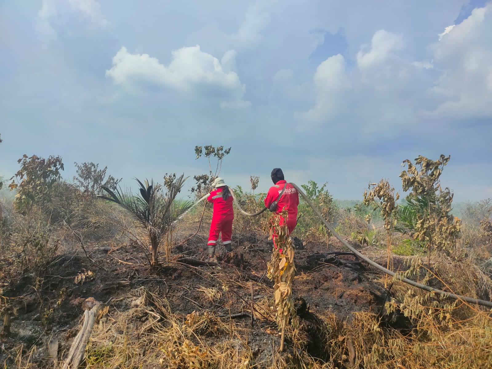 Petugas Berjibaku Padamkan Api di Lahan Milik Polda Riau di Kampar