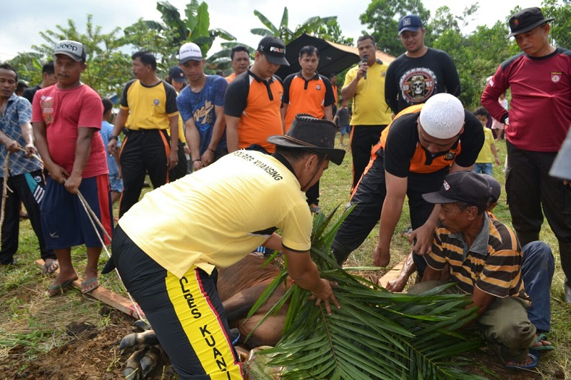 1000 Kantong Plastik Daging Kurban, Siap didistribusikan Polres Kuansing ke Masyarakat