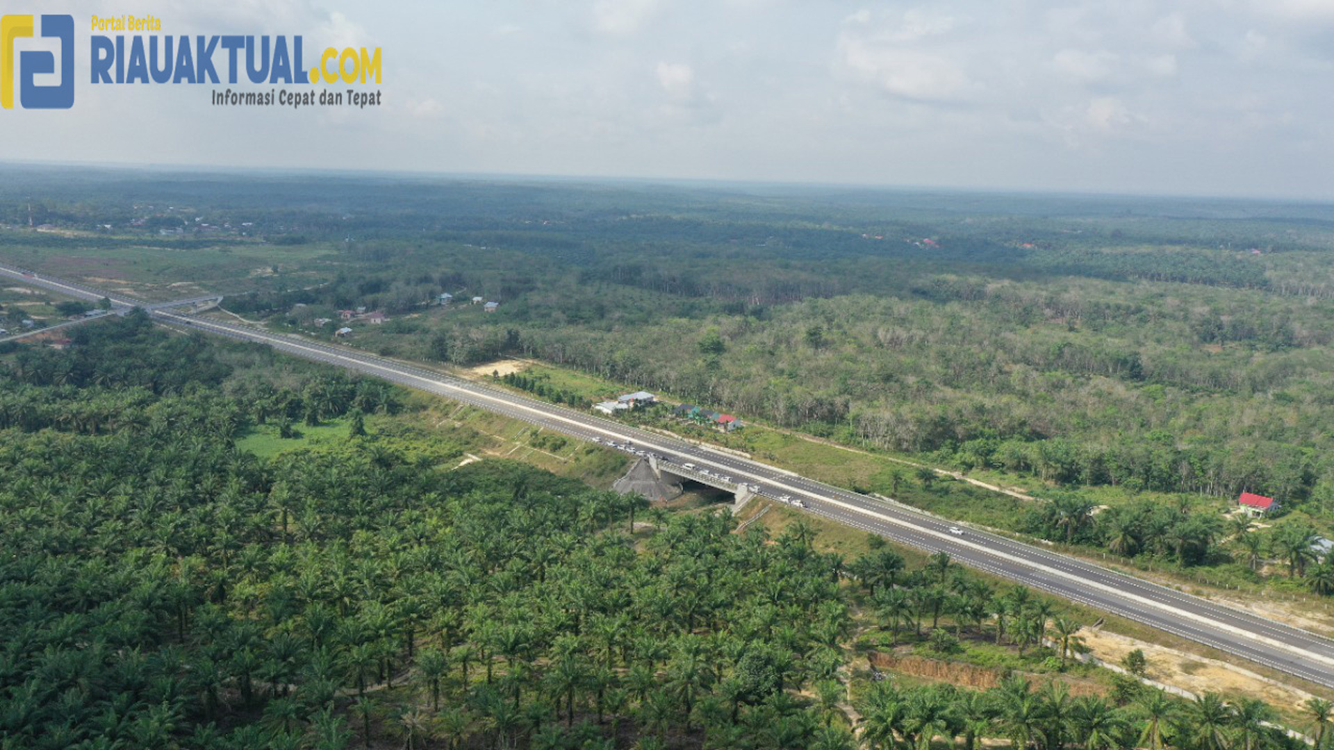 Cegah Gajah Masuk Tol, BBKSDA Riau Tanam Pohon Pisang di Underpass