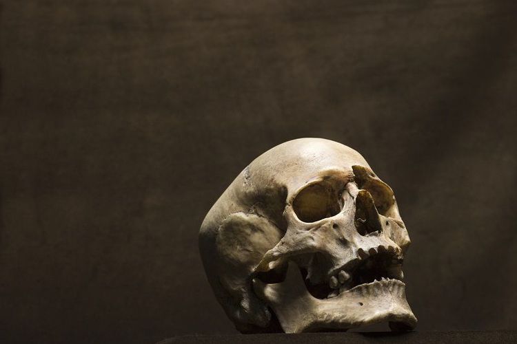 Ingin Tanam Kentang, Pria Ini Malah Temukan Tengkorak Yang Ternyata Mantan Suami Pertama Istrinya