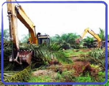 Pertahankan RTH, Pemko Pekanbaru Diminta Tegas