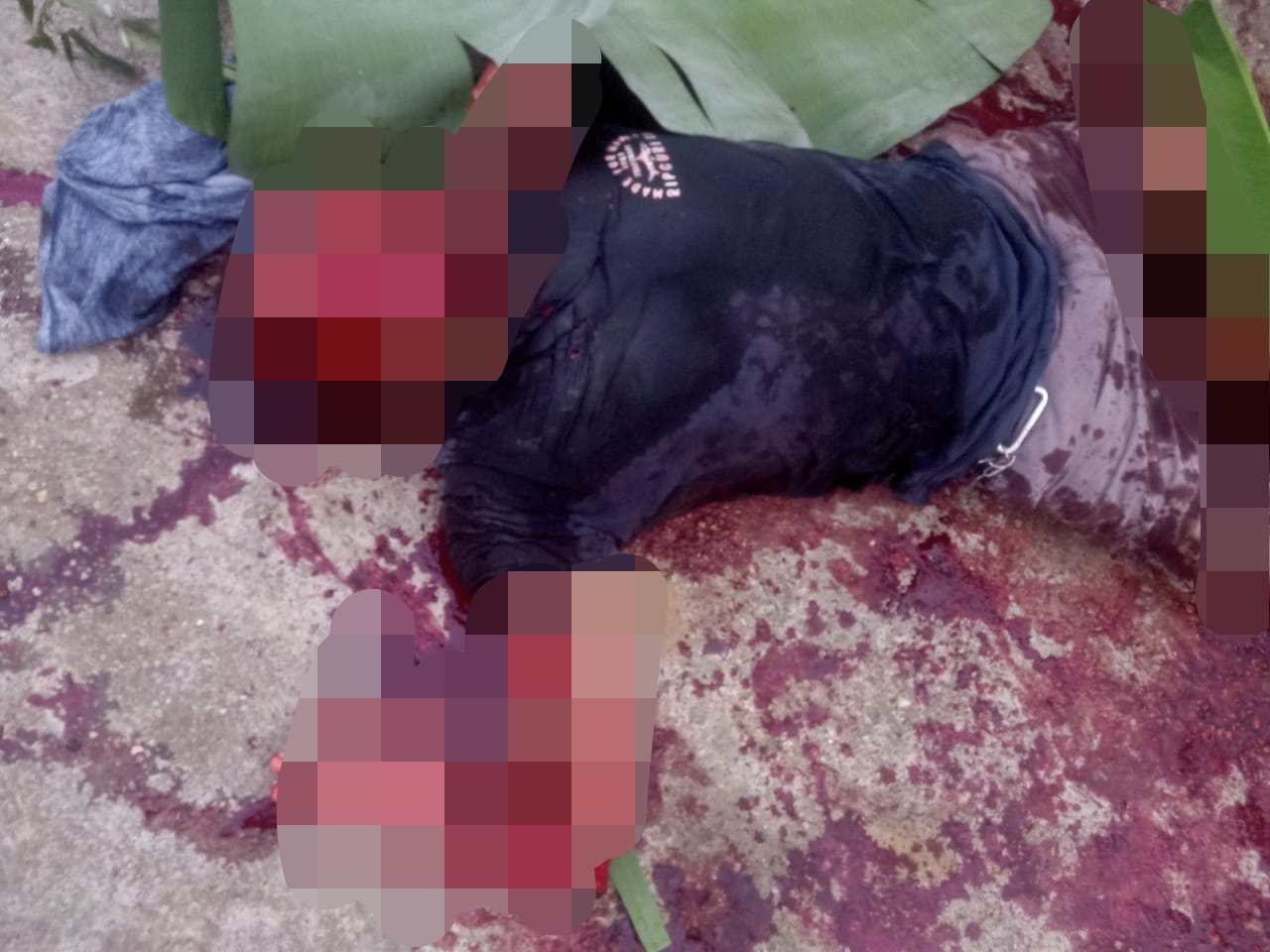 Diduga Korban Pembunuhan, Pria di Kuansing Tergeletak Bersimbah Darah