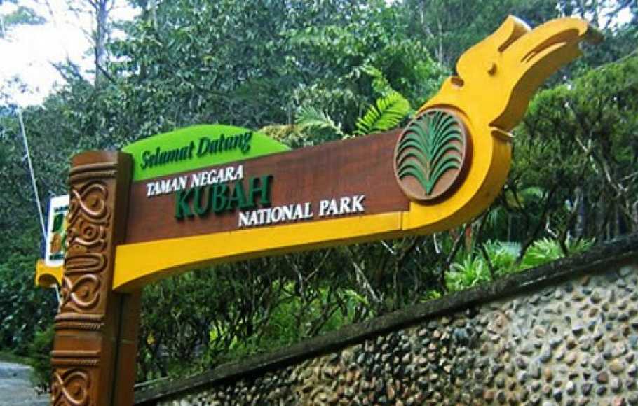 Duh! Varian Delta Kini Dominan di Sarawak, Indonesia Perlu Waspada