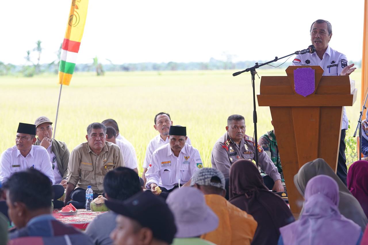 Panen Raya di Bunga Raya, Gubernur Syamsuar Ajak Petani Bayar Zakat