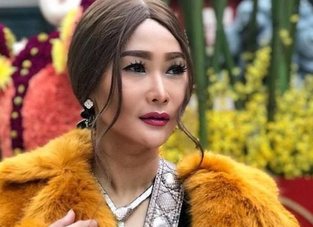 Sekali Terbang, Sewa Jet Inul Daratista Rp200 Juta