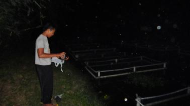 Biayai Kuliah Dari Hasil Kerambah