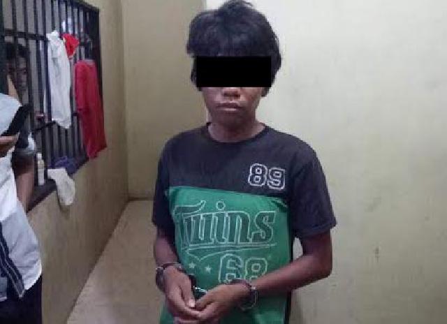 Rebutan Buah Nanas, Pemicu Saudara Kembar di Kandis Saling Bunuh