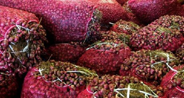 Polair Bengkalis Kembali Gagalkan Penyelundupan Bawang 500 Karung di Rupat