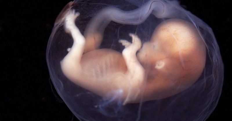 Ini Proses Penciptaan Manusia Dijelaskan dalam Alquran