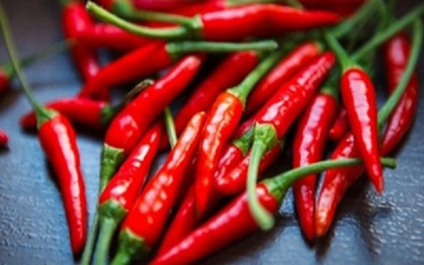 Siapa Sangka Ternyata Cabai Rawit Bisa Untuk Obat Stroke